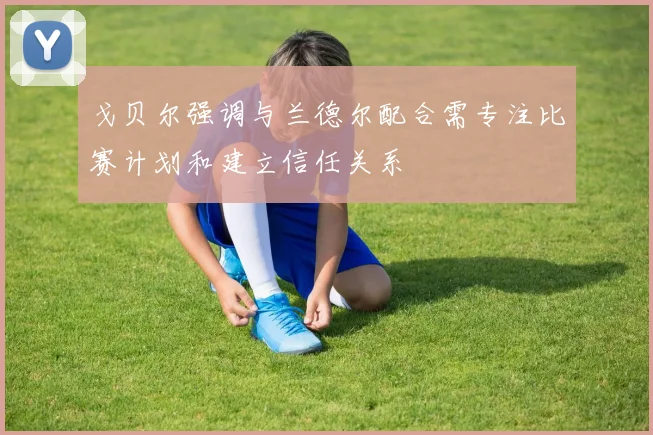 戈贝尔强调与兰德尔配合需专注比赛计划和建立信任关系